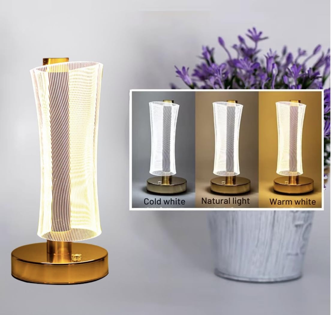Acrylic LED Night Lamp with Gold Base Touch Control Cordless Table Light  (13inch)