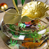 Fish Bowl Kit - Glass Aquarium with Pump, Decor, Ideal for Small Fish, Turtle, Office, Home, Desktop Decoration