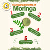 Moringa Powder – Organic Superfood Leaf Powder | Rich in Iron, Calcium & Antioxidants | Energy & Immunity Booster