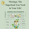 Moringa Powder – Organic Superfood Leaf Powder | Rich in Iron, Calcium & Antioxidants | Energy & Immunity Booster