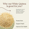 Quinoa Seeds – High Protein & Gluten-Free Supergrain | 100% Organic Whole Grain for Salads, Bowls & Healthy Meals